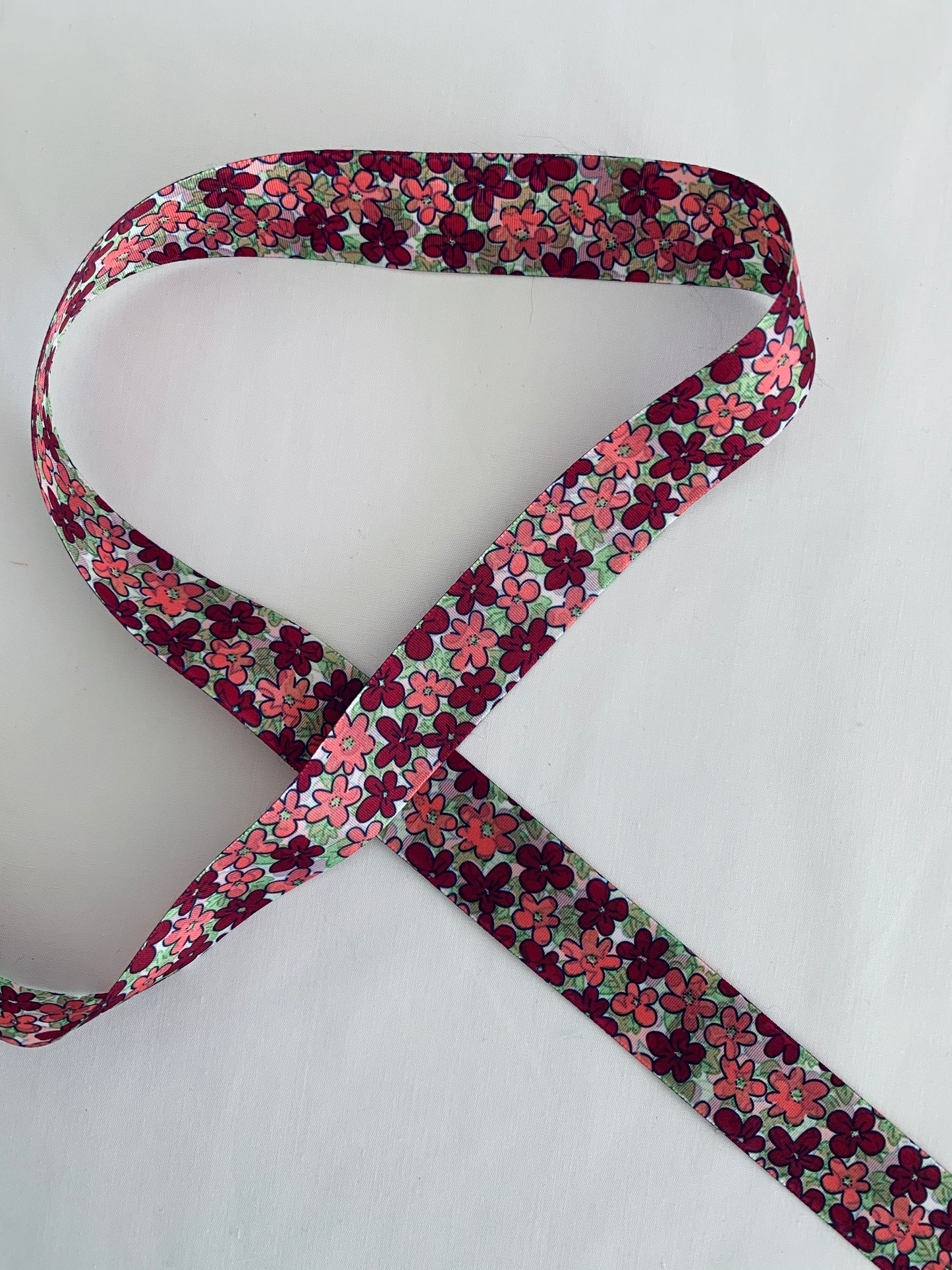 CINTA DE PELO ESTAMPADO DE 2,5 CENTÍMETROS DE ANCHO